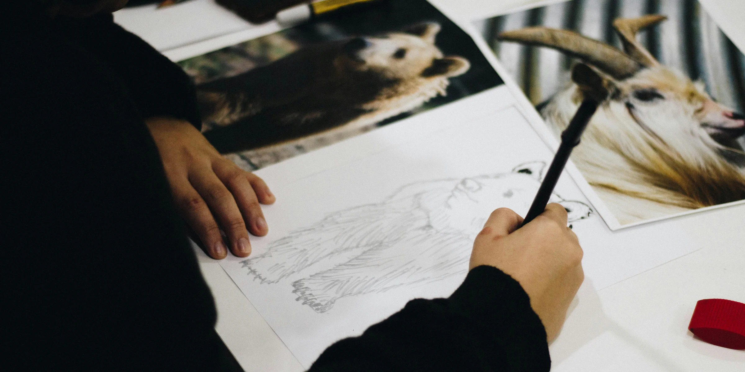 person drawing brown bear on paper