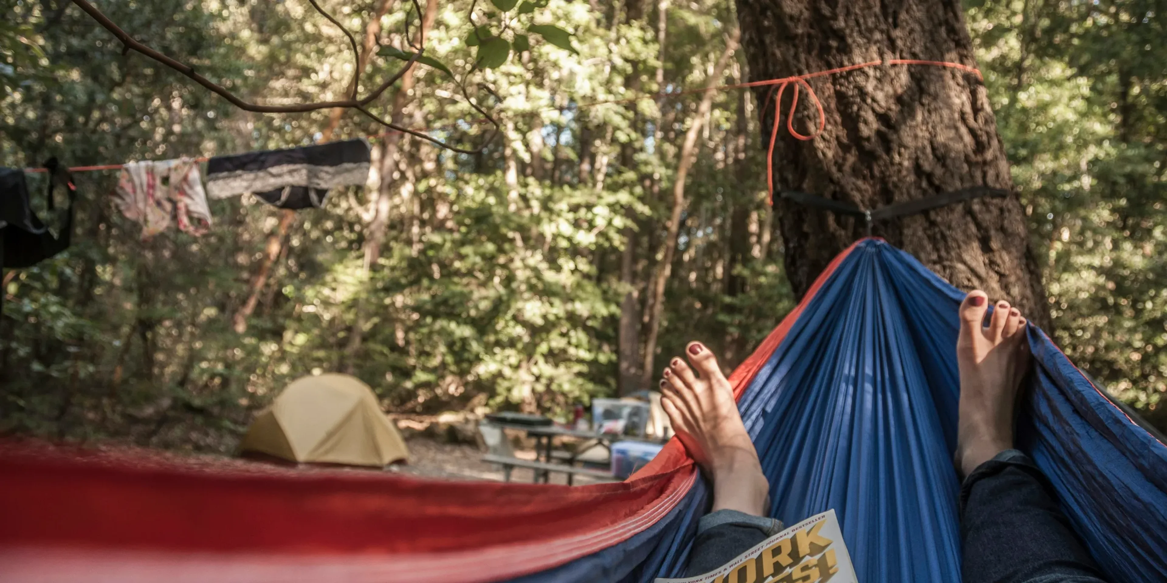 a person laying in a hammock in a forest