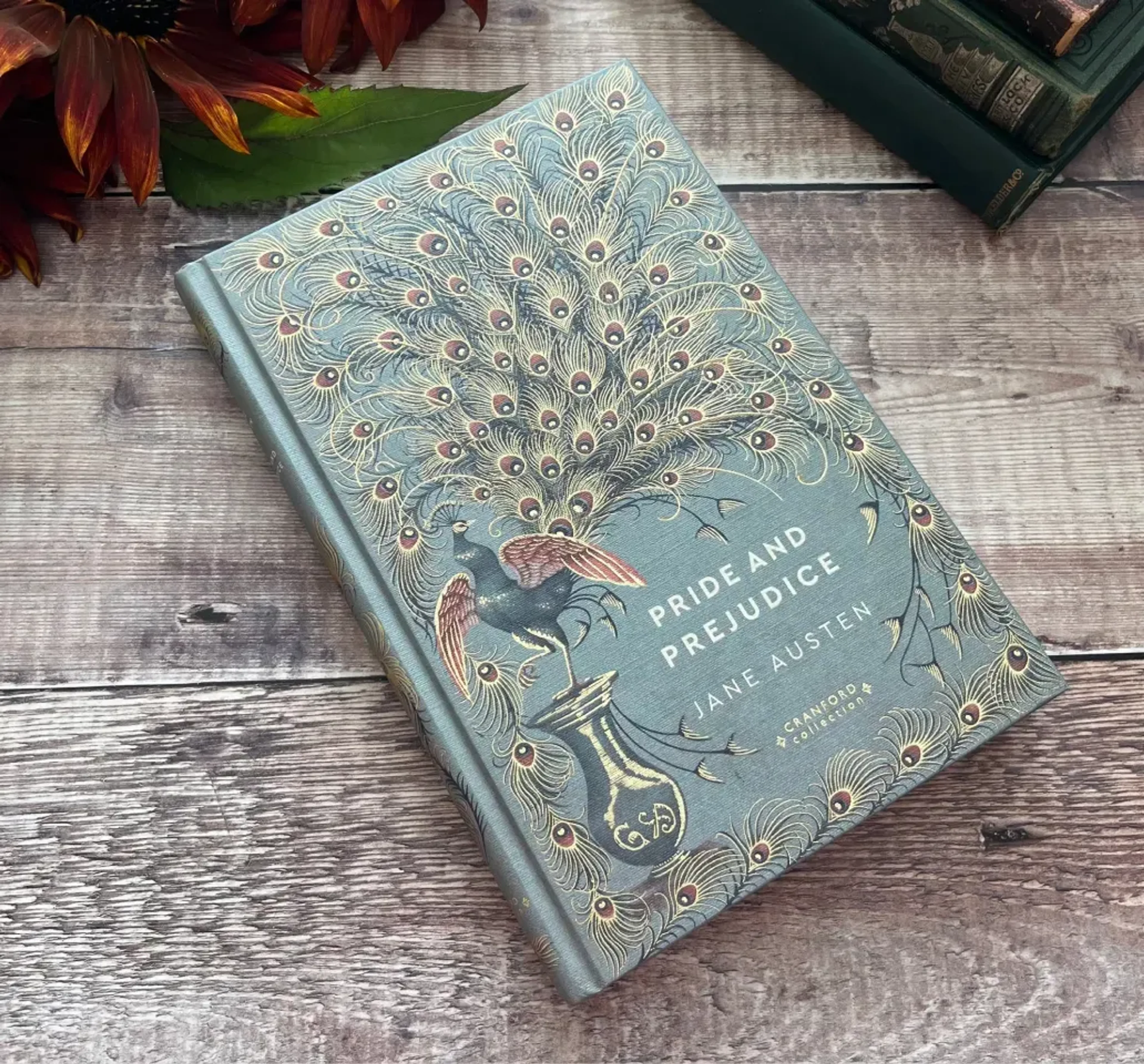 Reading imagery featuring Pride And Prejudice Cranford Classic