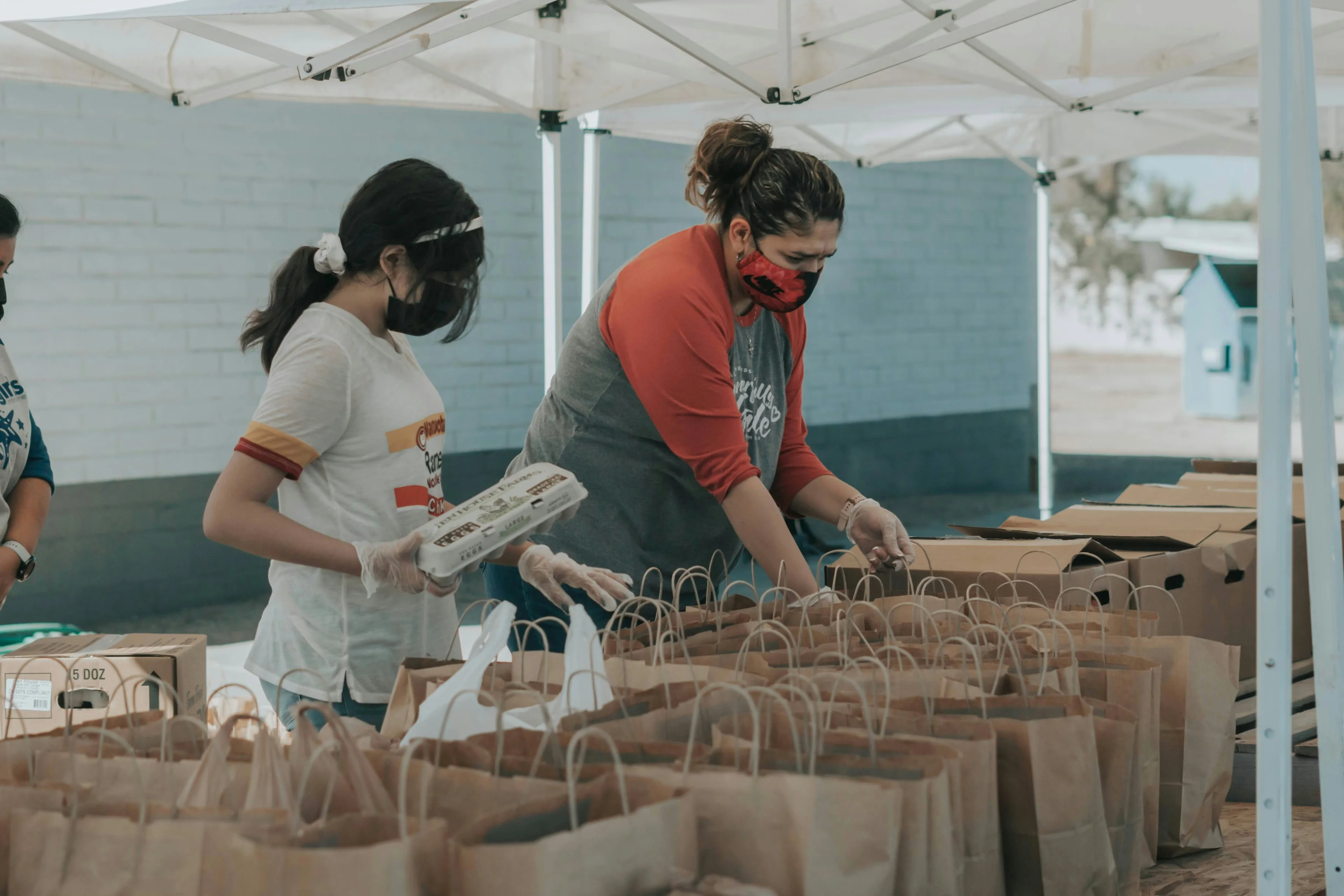 Volunteers working together