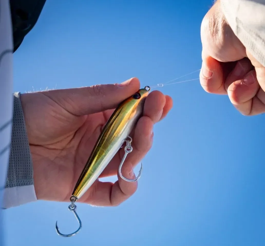 Fishing imagery featuring Dark Matter Feeder Minnow