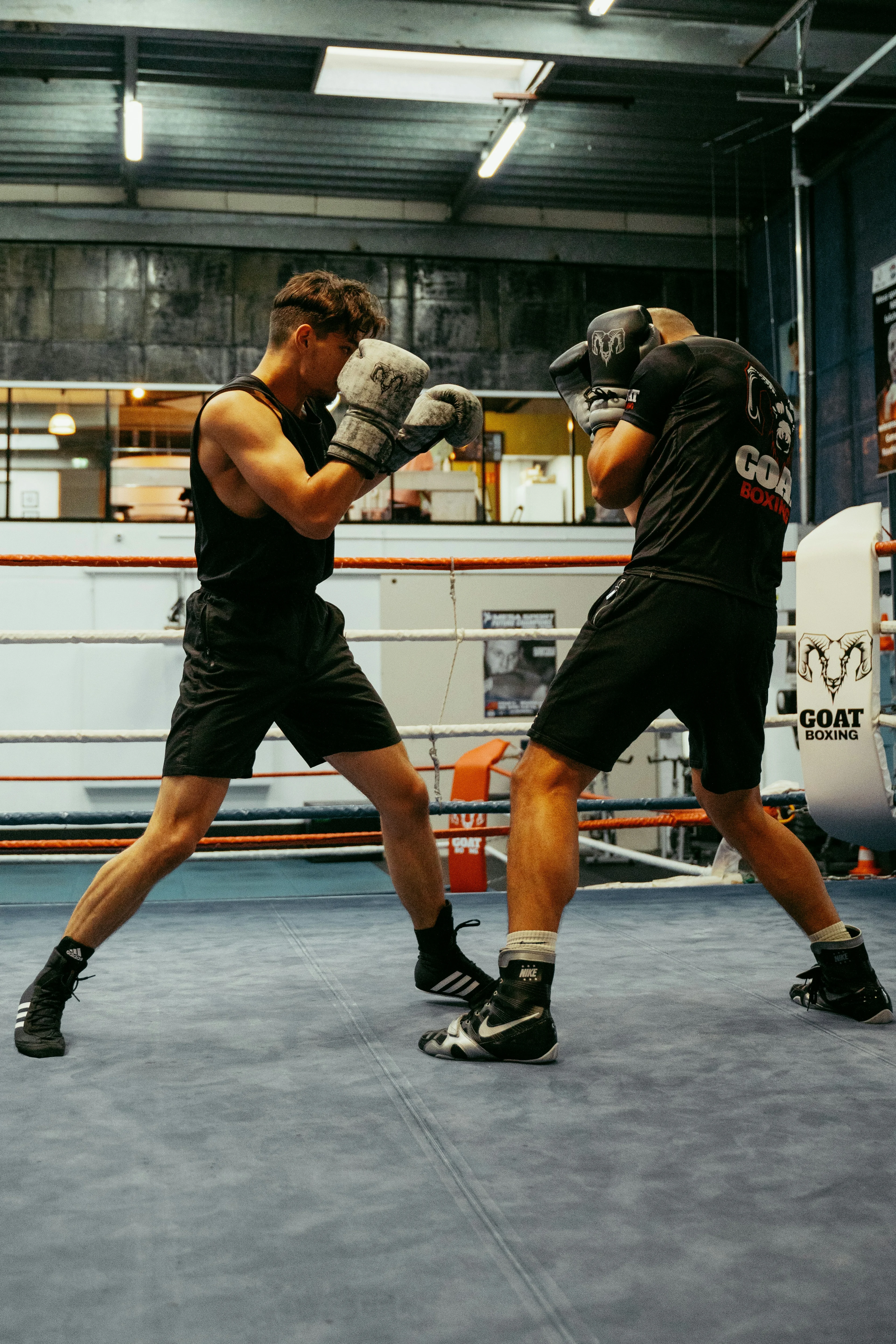 Boxing gloves in gym