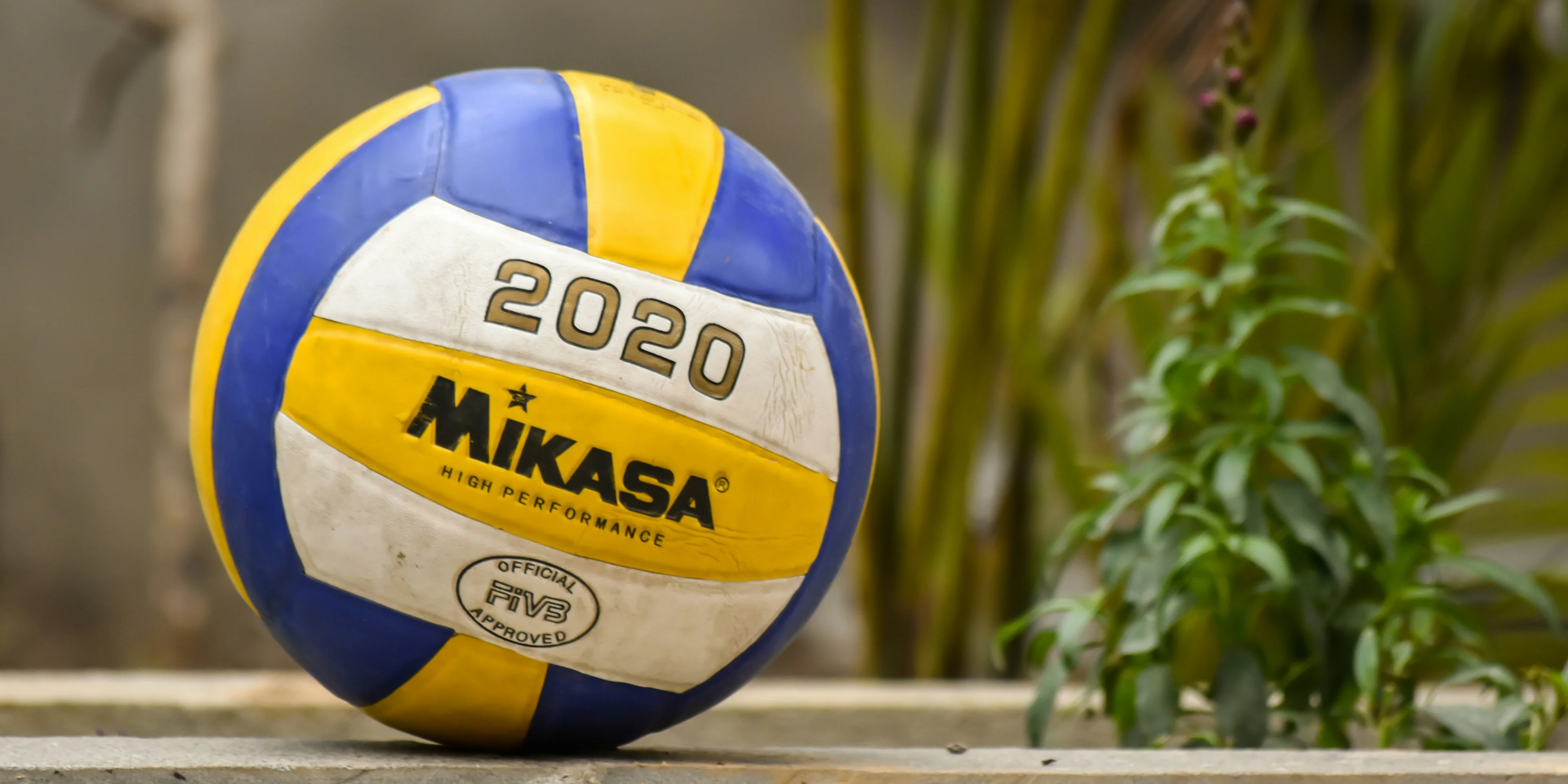 yellow and blue volleyball on brown wooden fence.