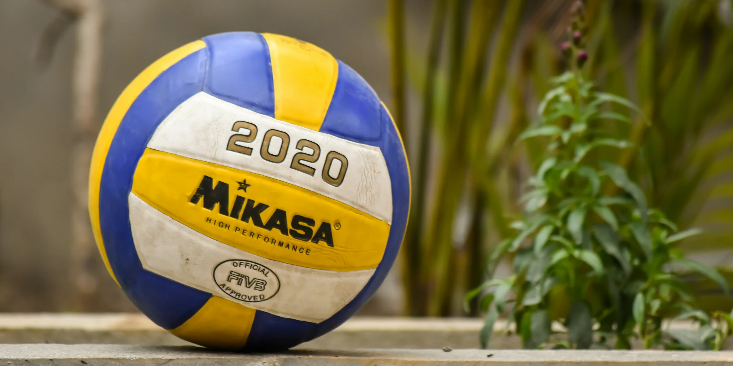 yellow and blue volleyball on brown wooden fence.