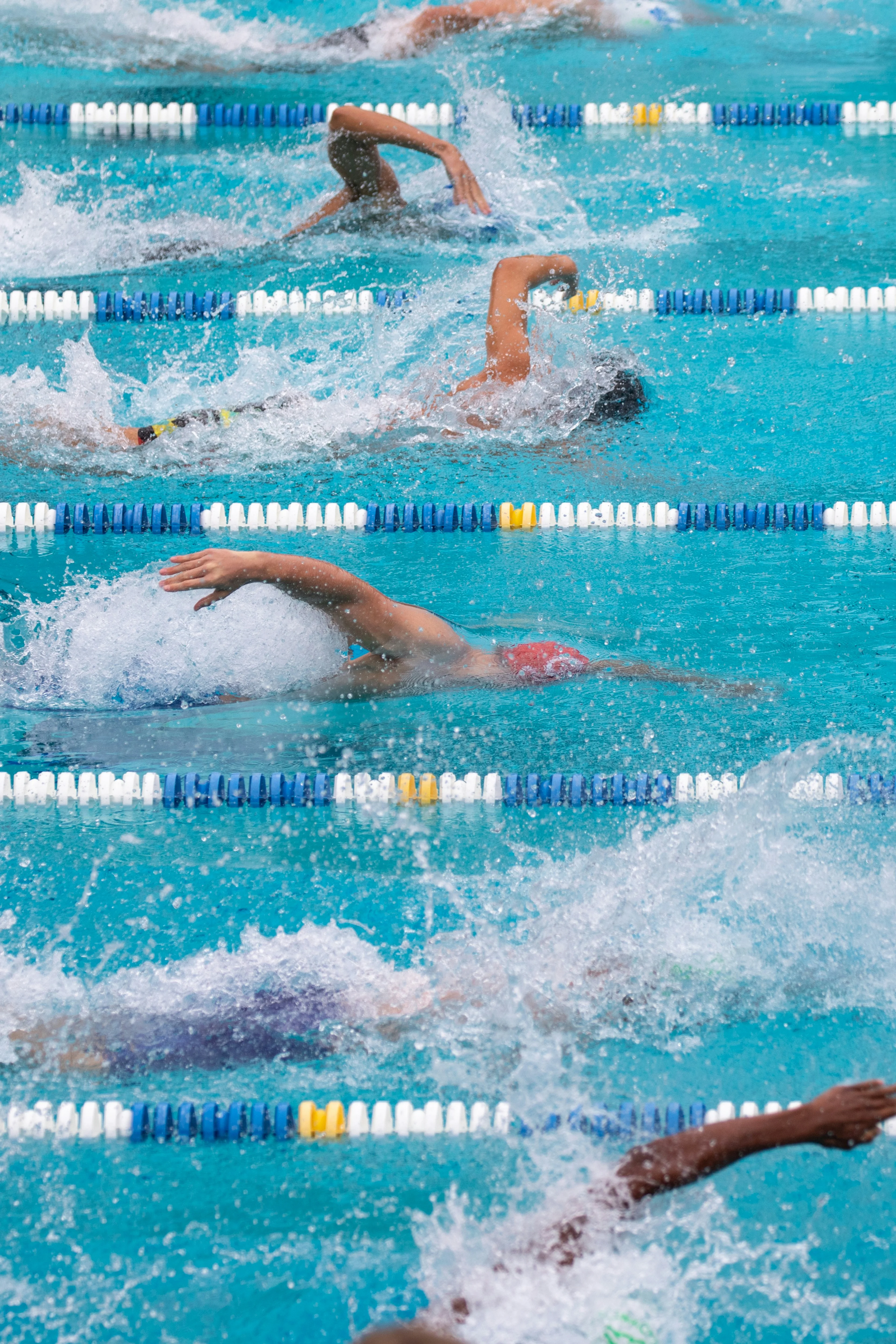 Swimmer in pool