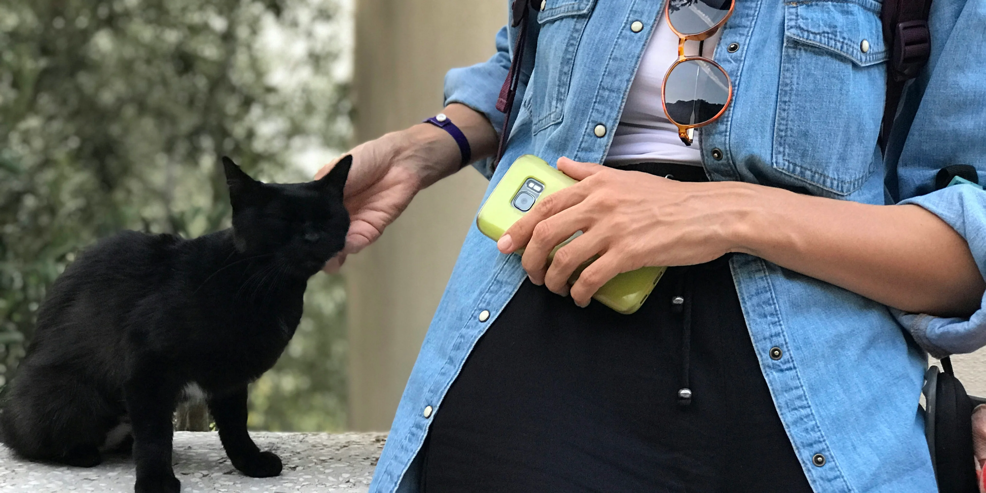 a person holding a bottle and a cat