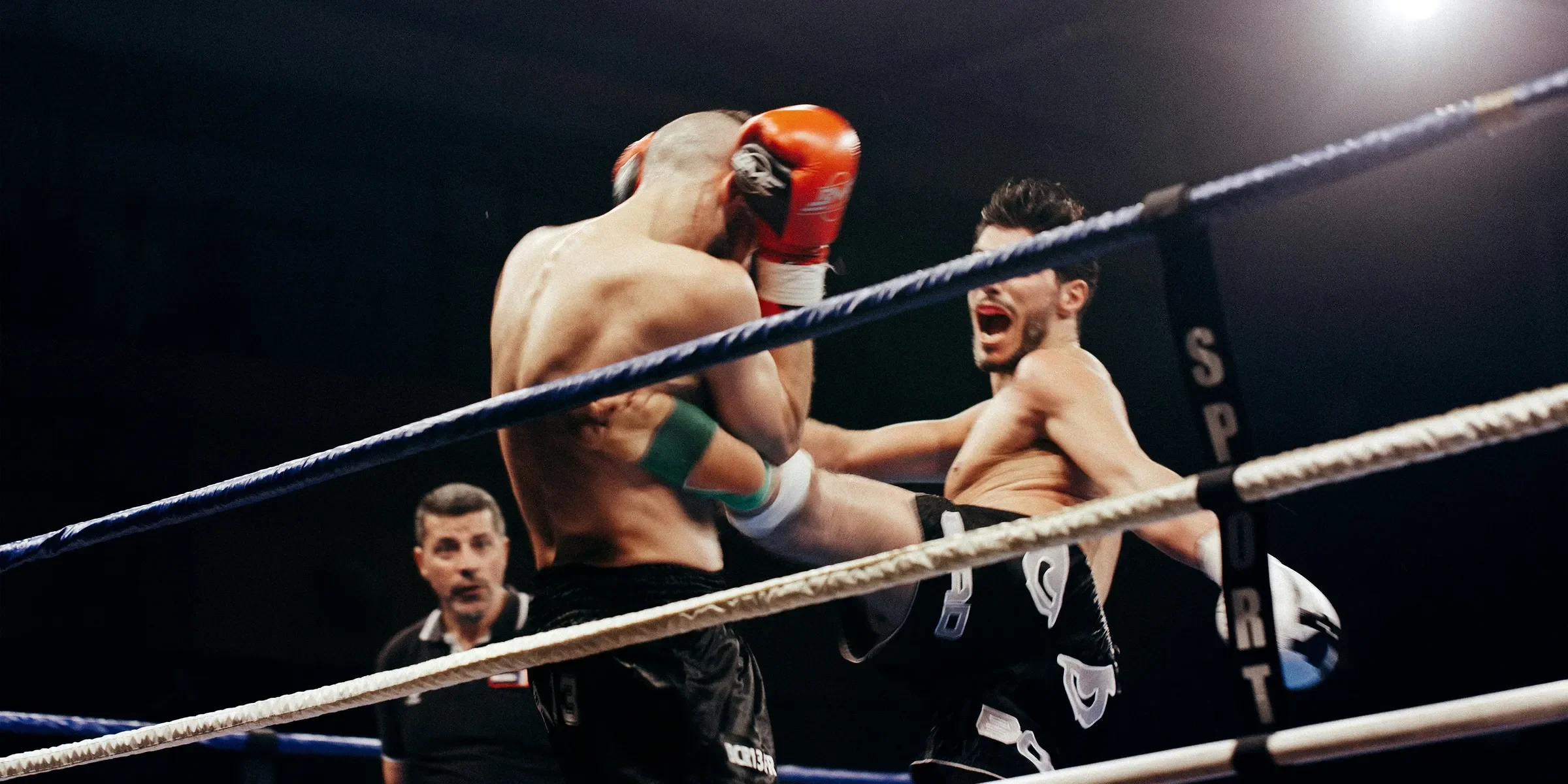 two person doing mix martial arts on white and blue stadium
