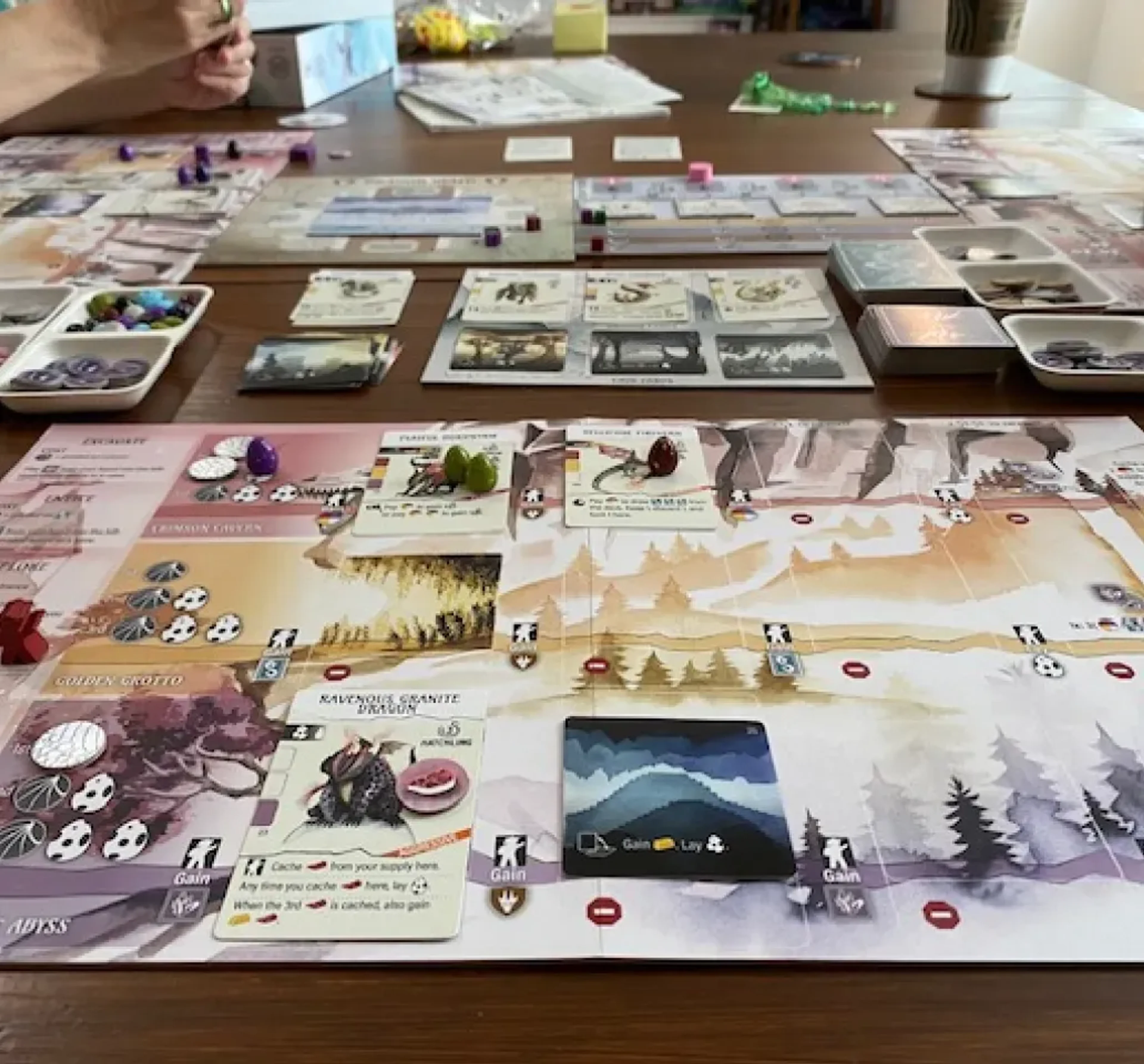 Board games imagery featuring Wyrmspan