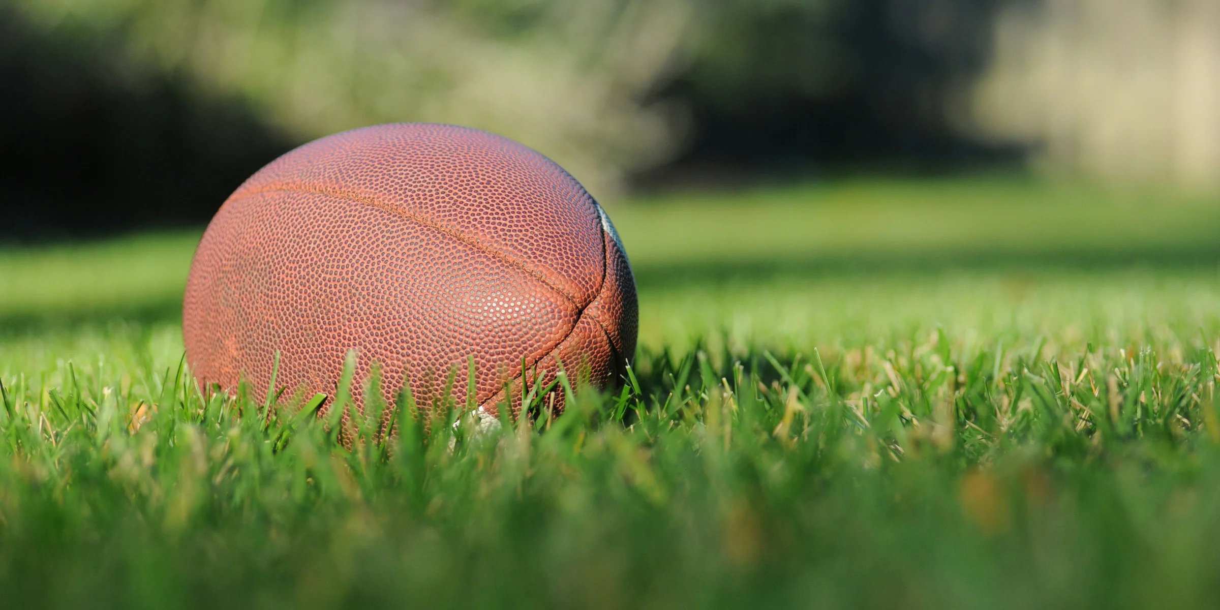 selective focus photography of brown football on grass at daytime.