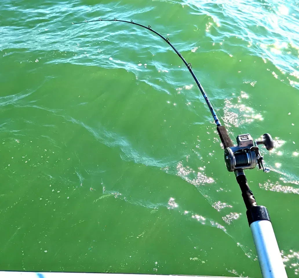 Fishing imagery featuring Okuma Classic PRO GLT Rod