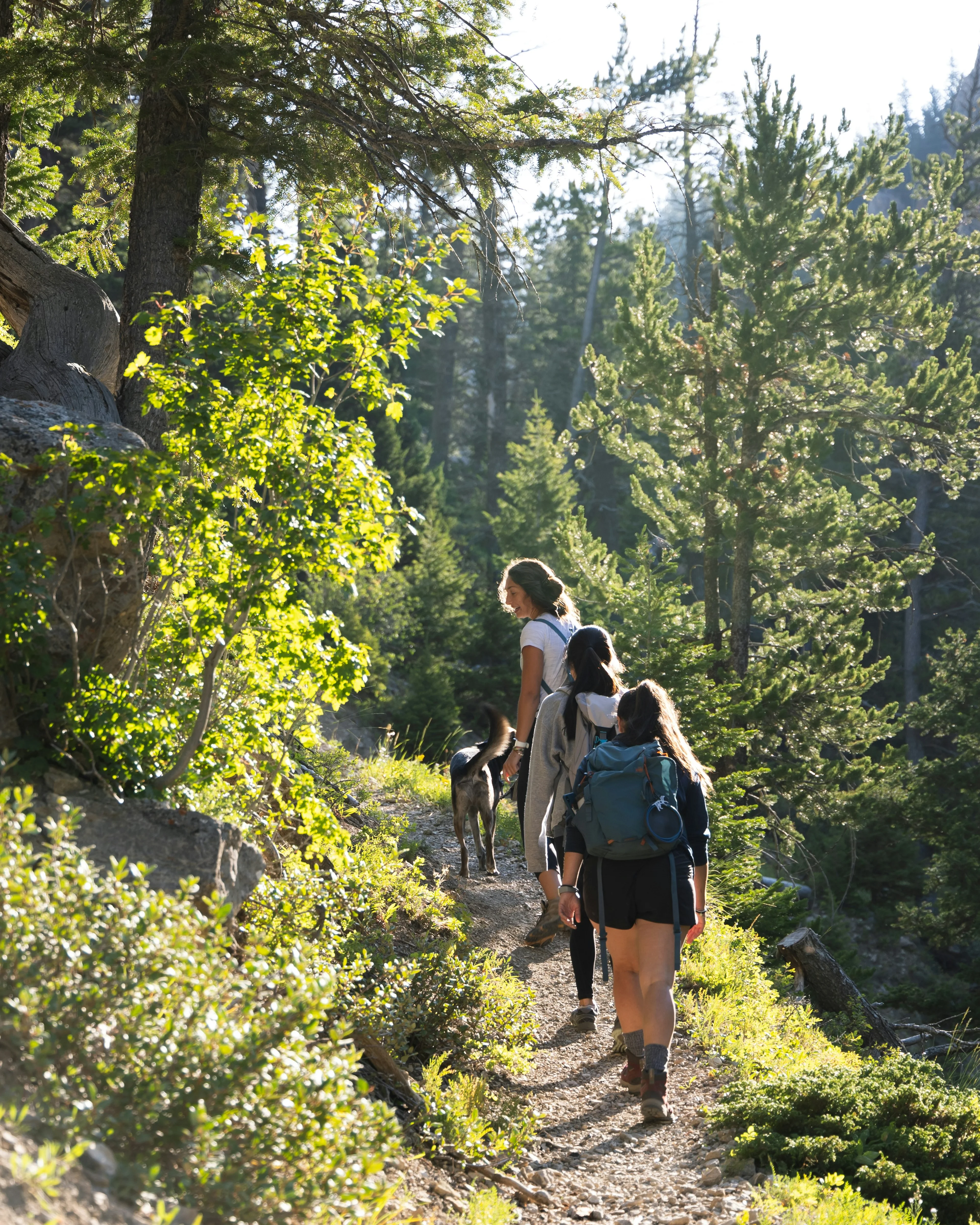 Hiker in outdoor pants