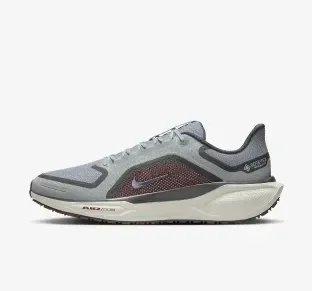 Picture of the product: Pegasus 41 GORE-TEX