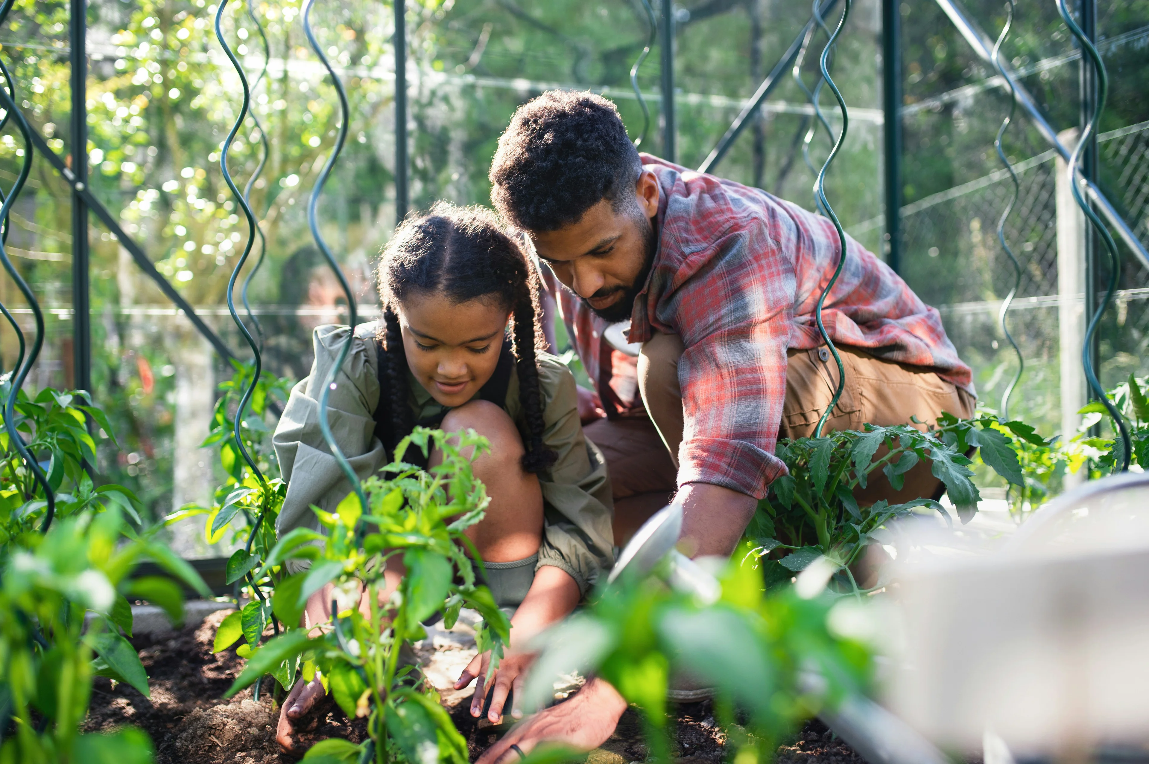 people gardening