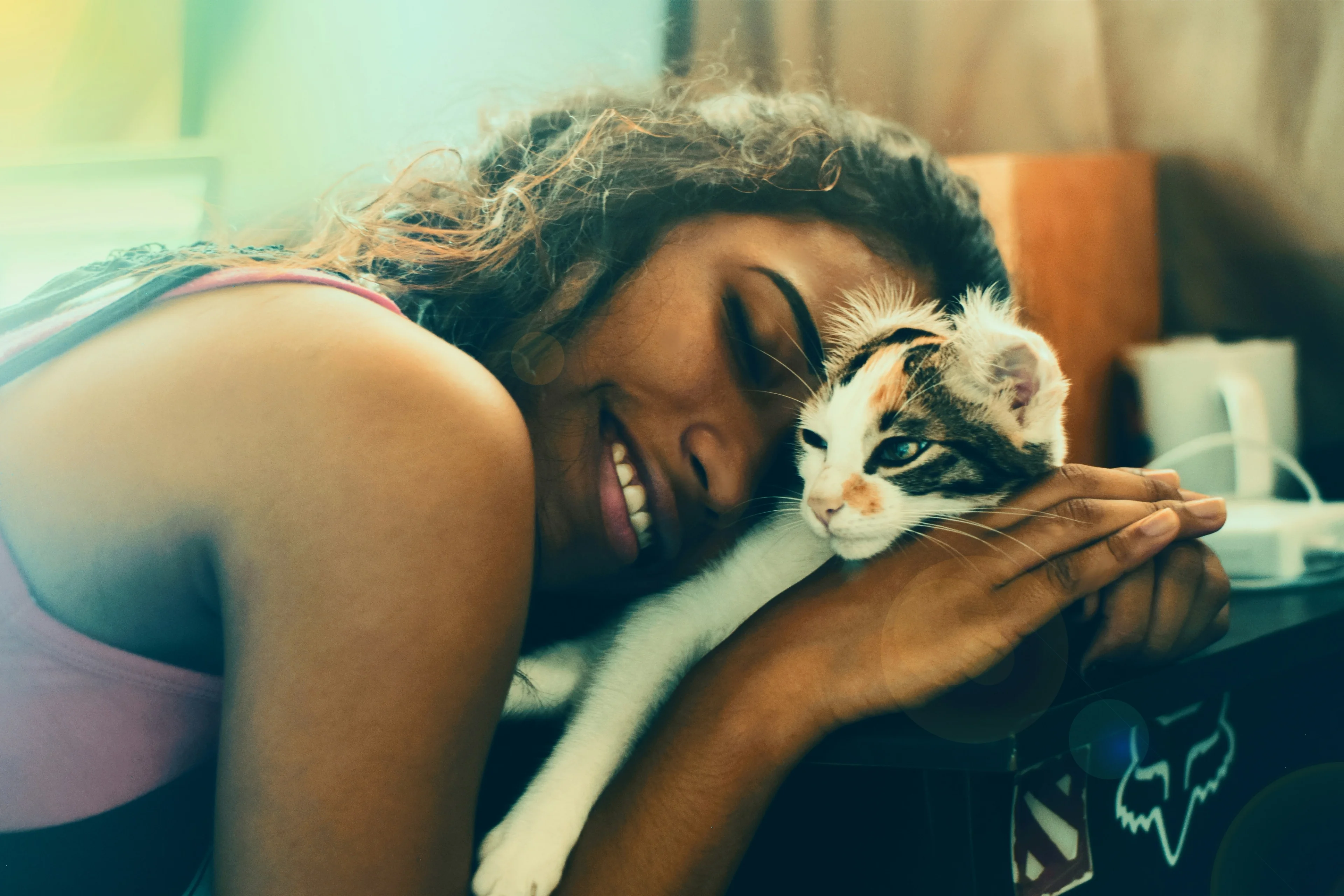 Person petting a cat at home