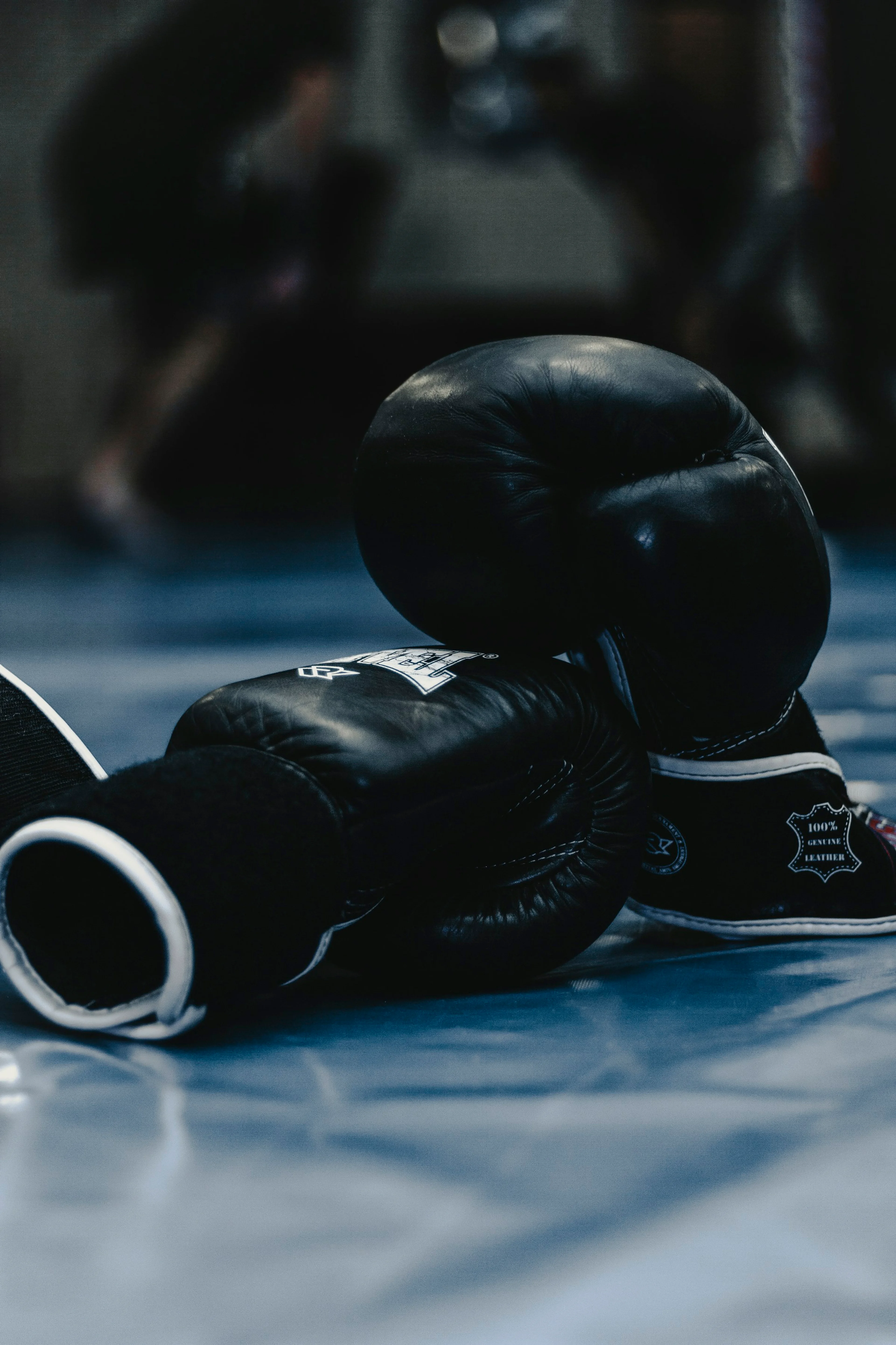 Boxing gloves in gym