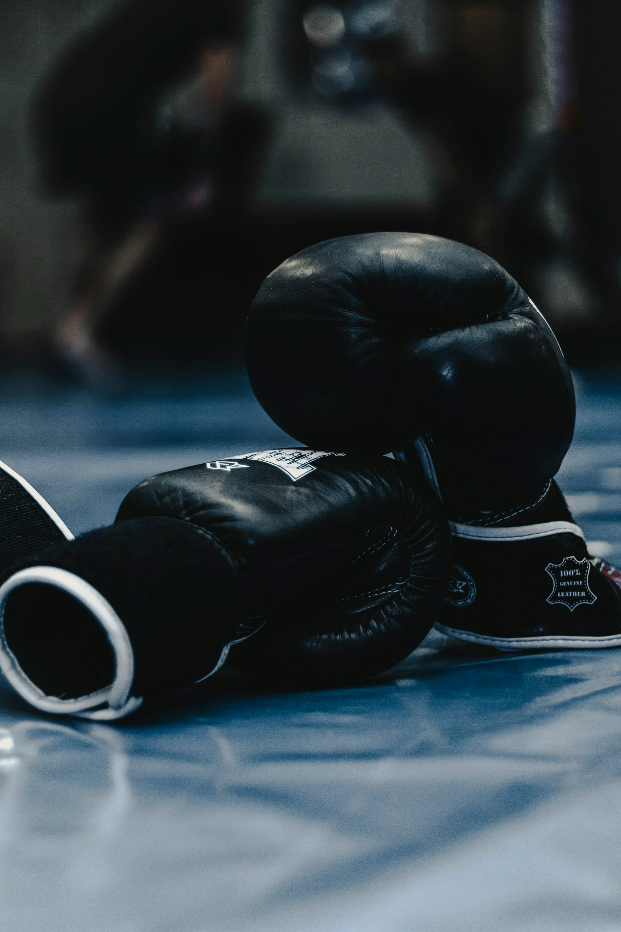 Boxing gloves in gym