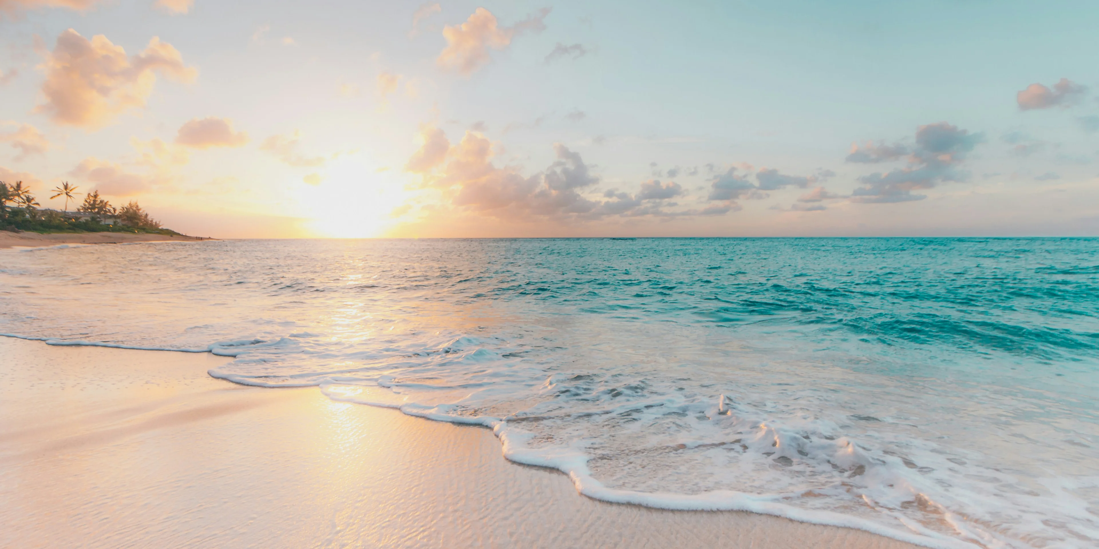 seashore during golden hour.