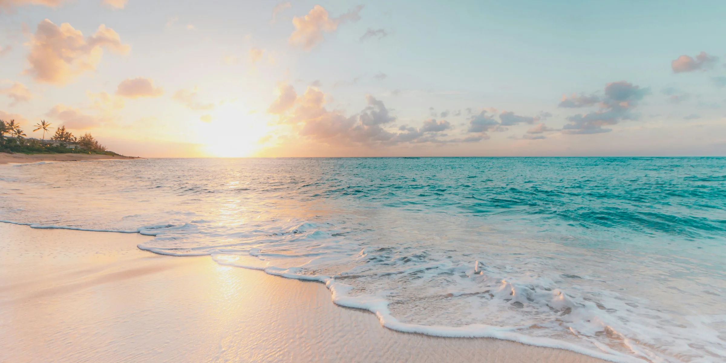 seashore during golden hour.