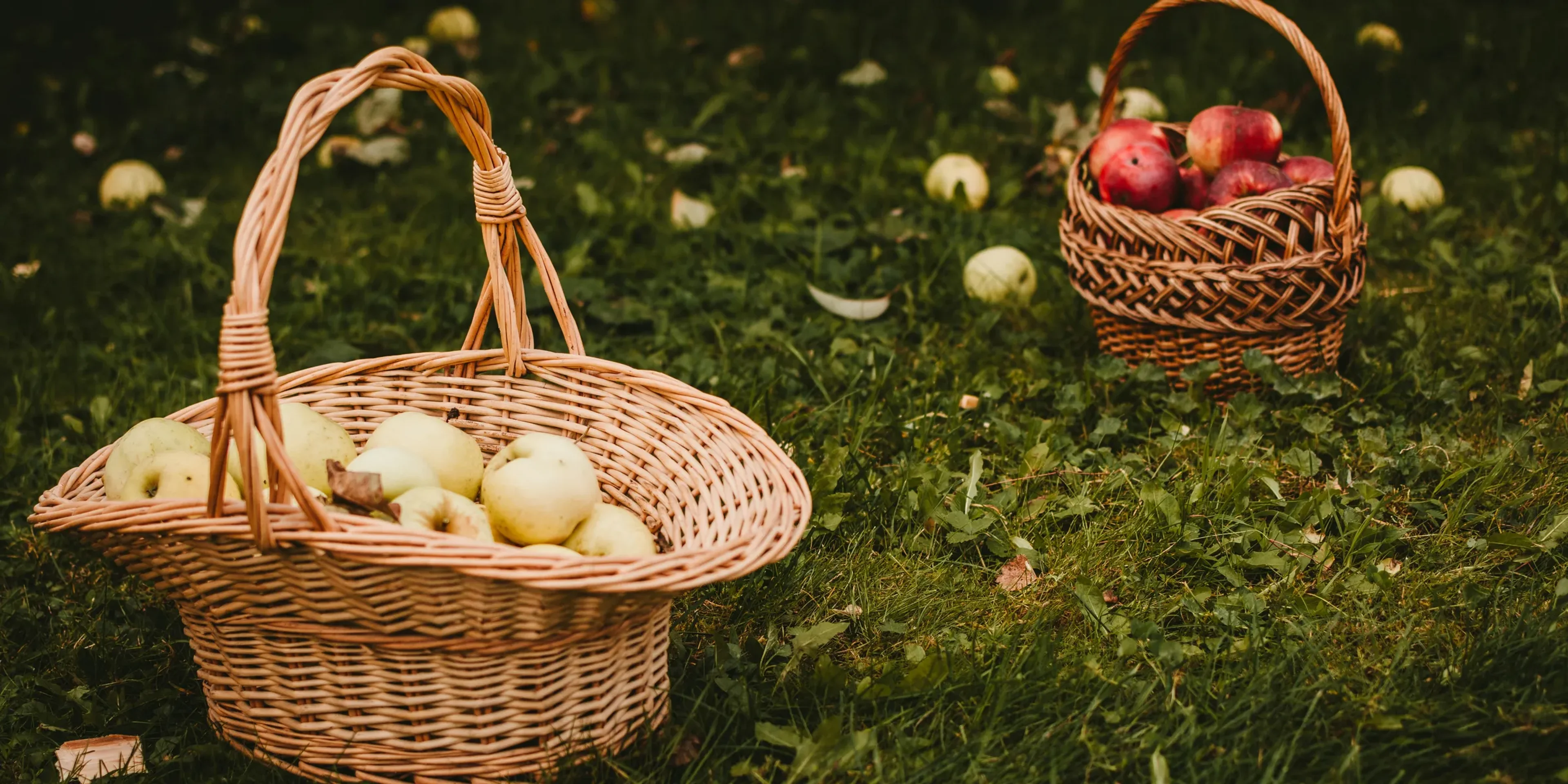 baskets of apples