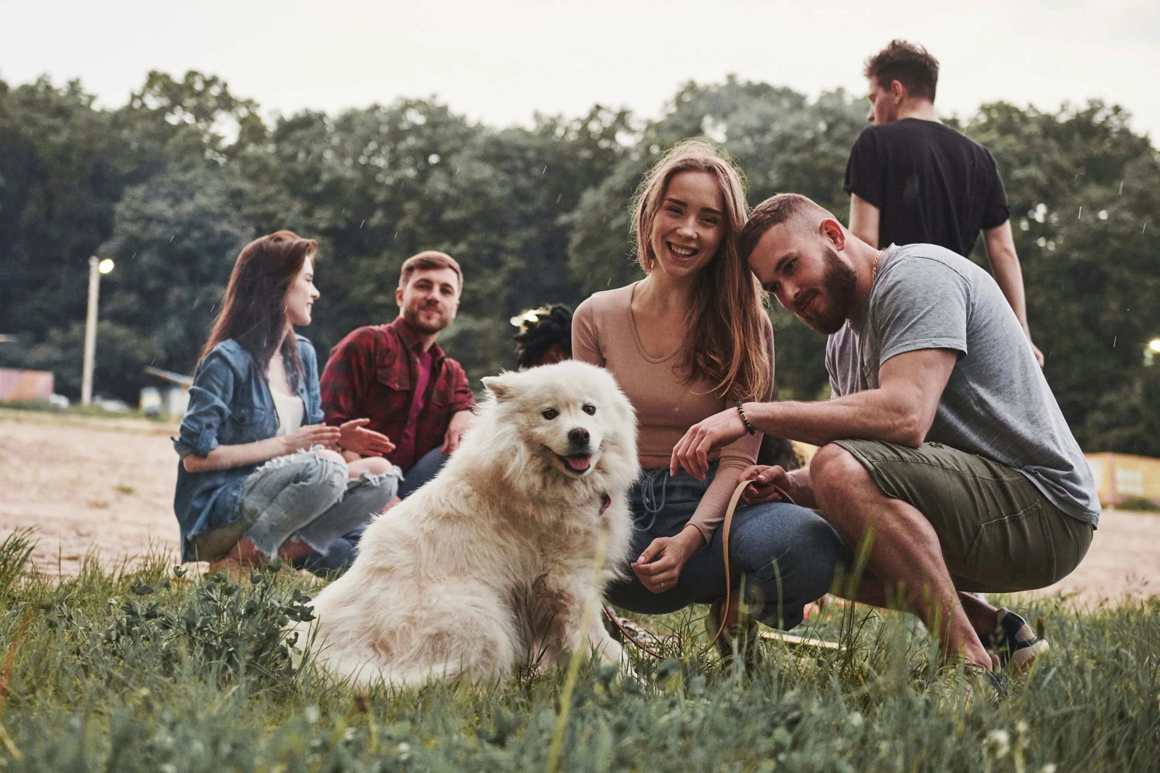 Dog with owner