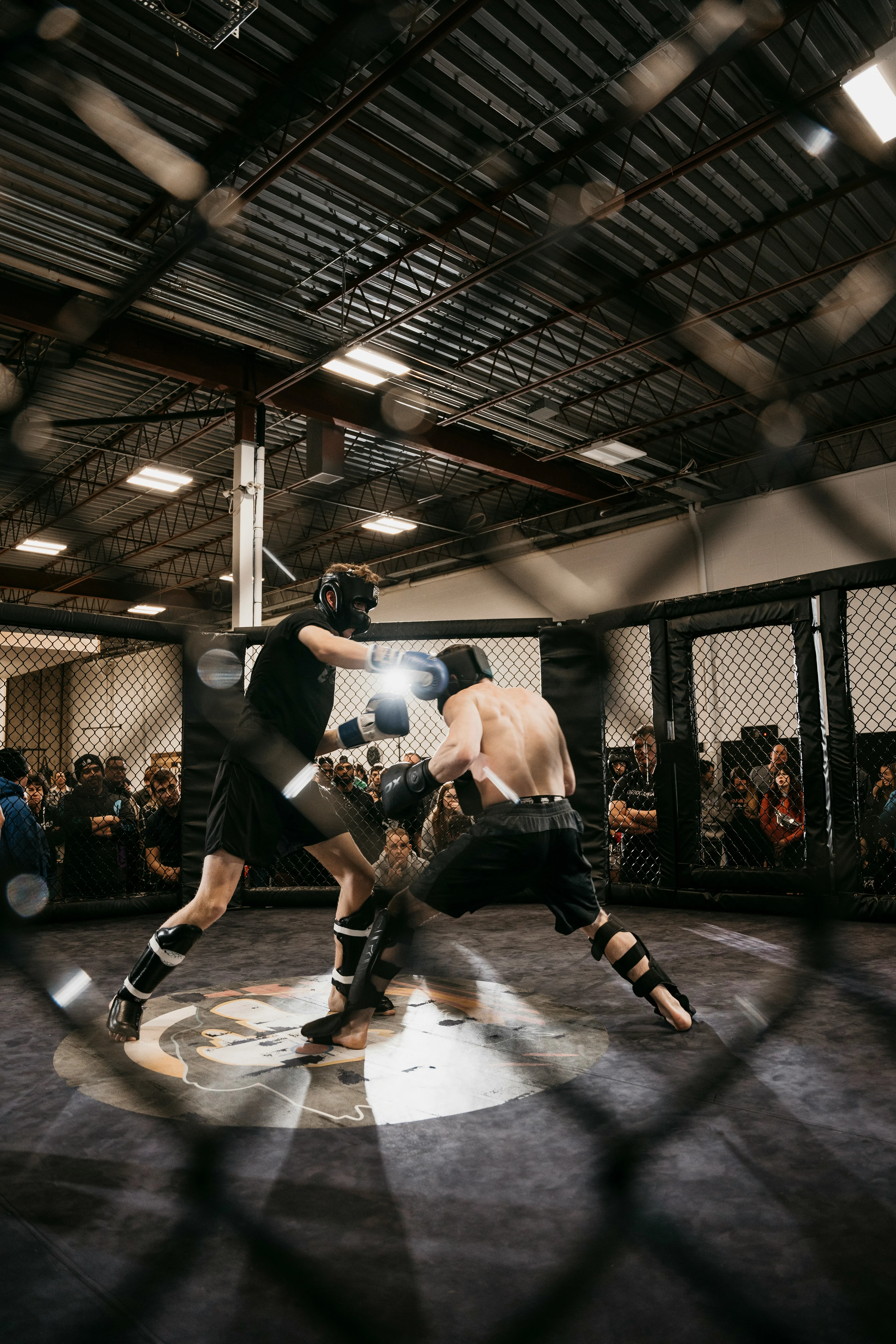 Boxing gloves