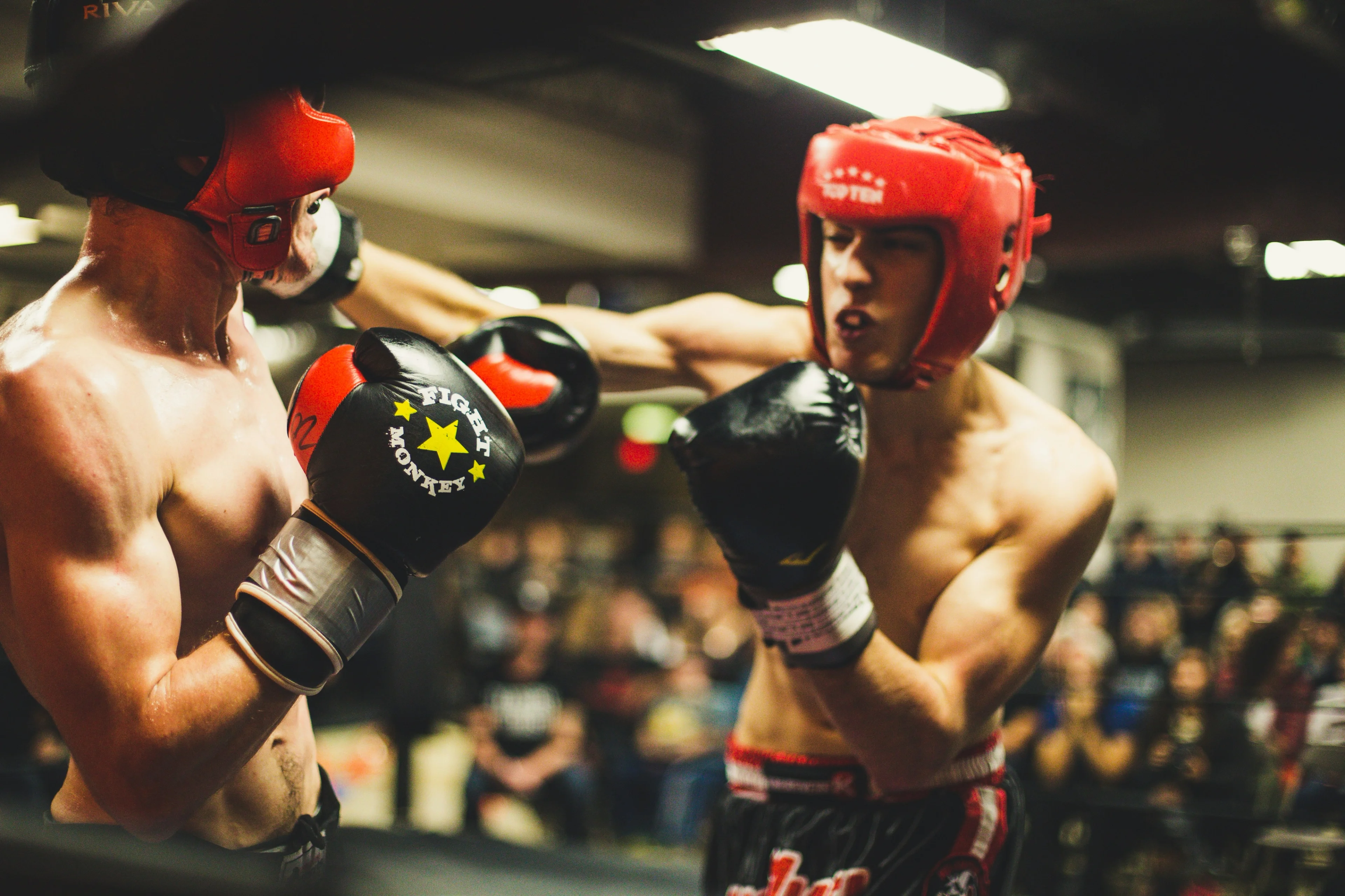 Boxing gloves