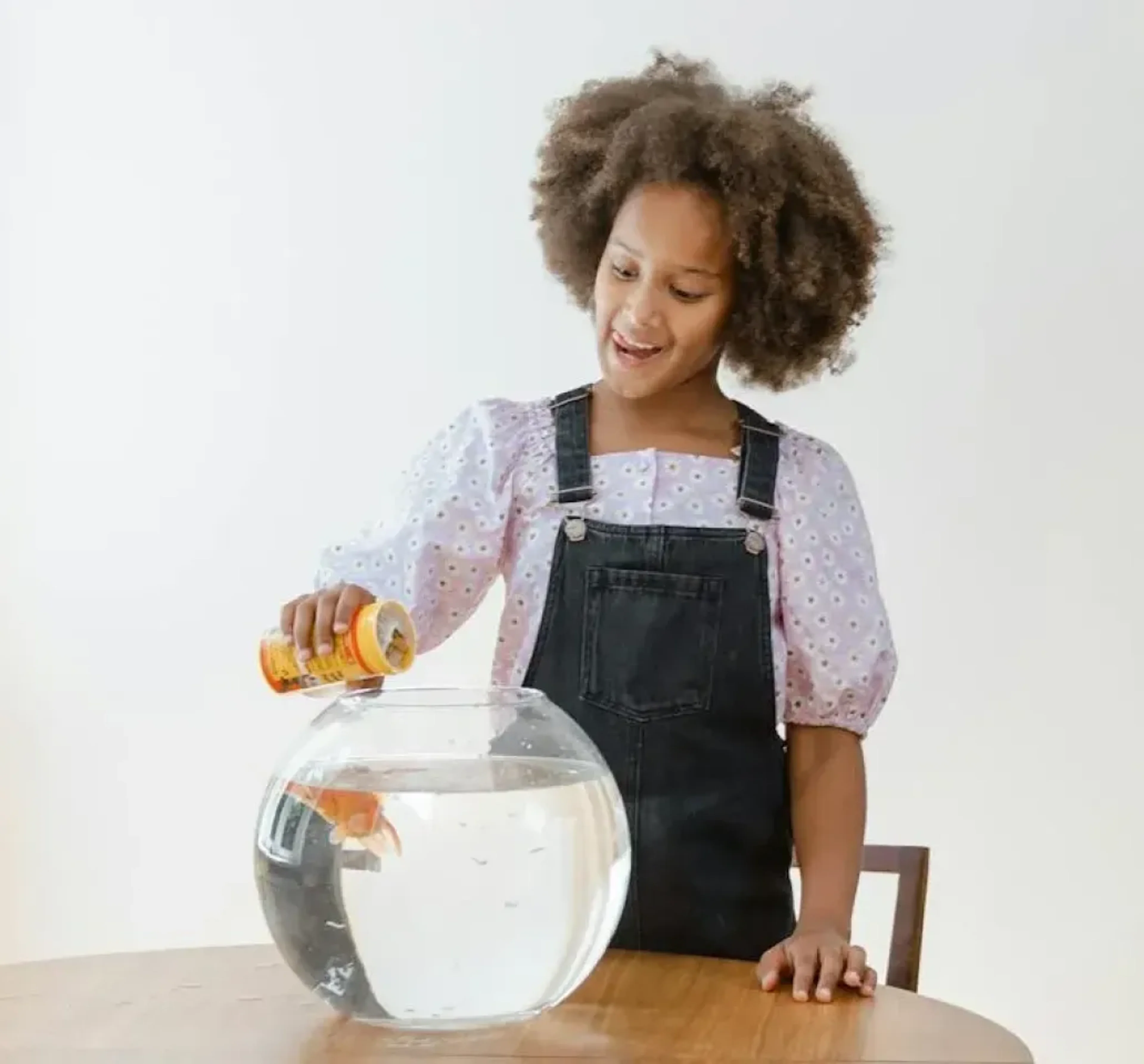 Pet care imagery featuring Omega One Goldfish Pellets