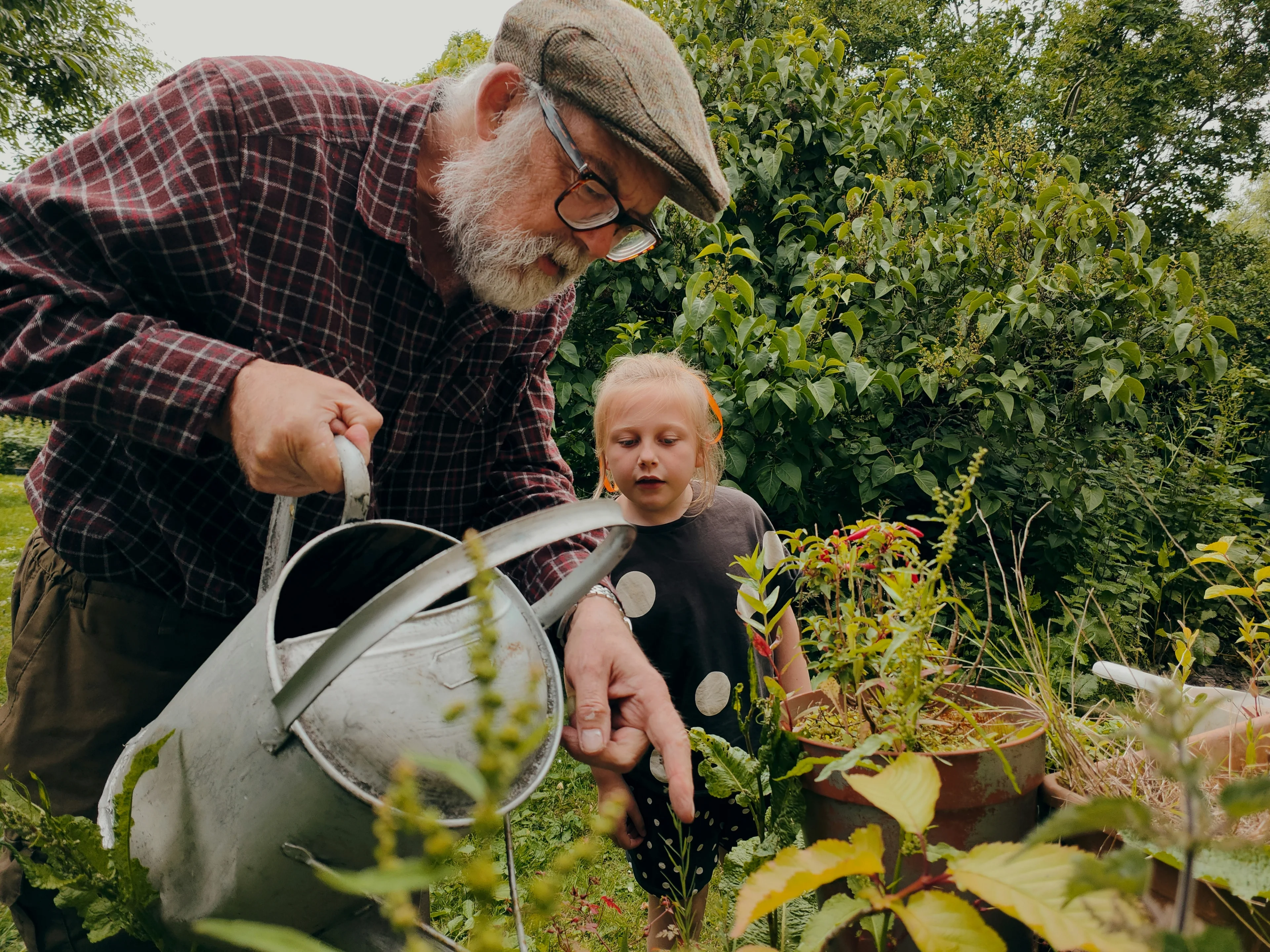 Garden tools and soil