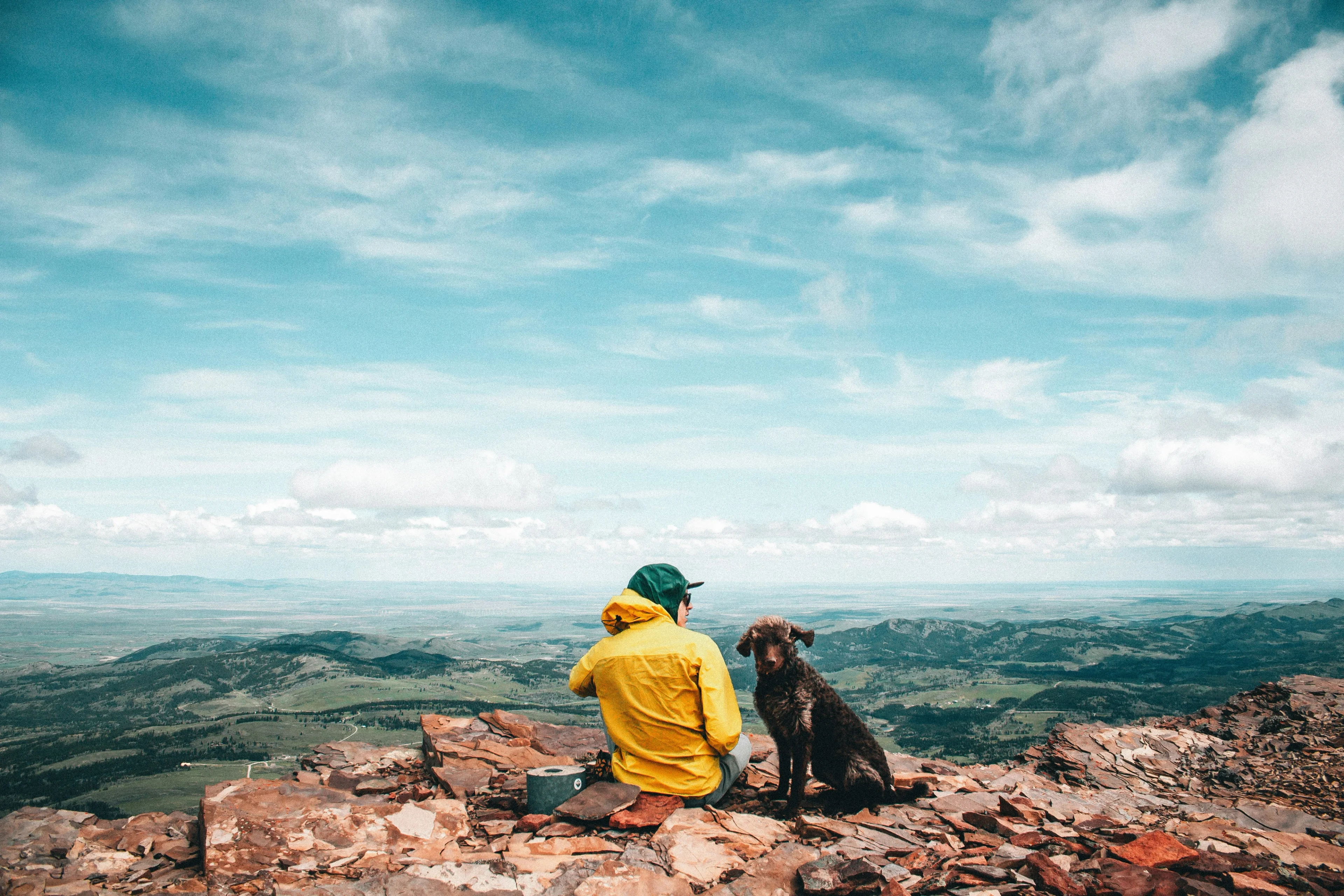 person with dog at top of cliff