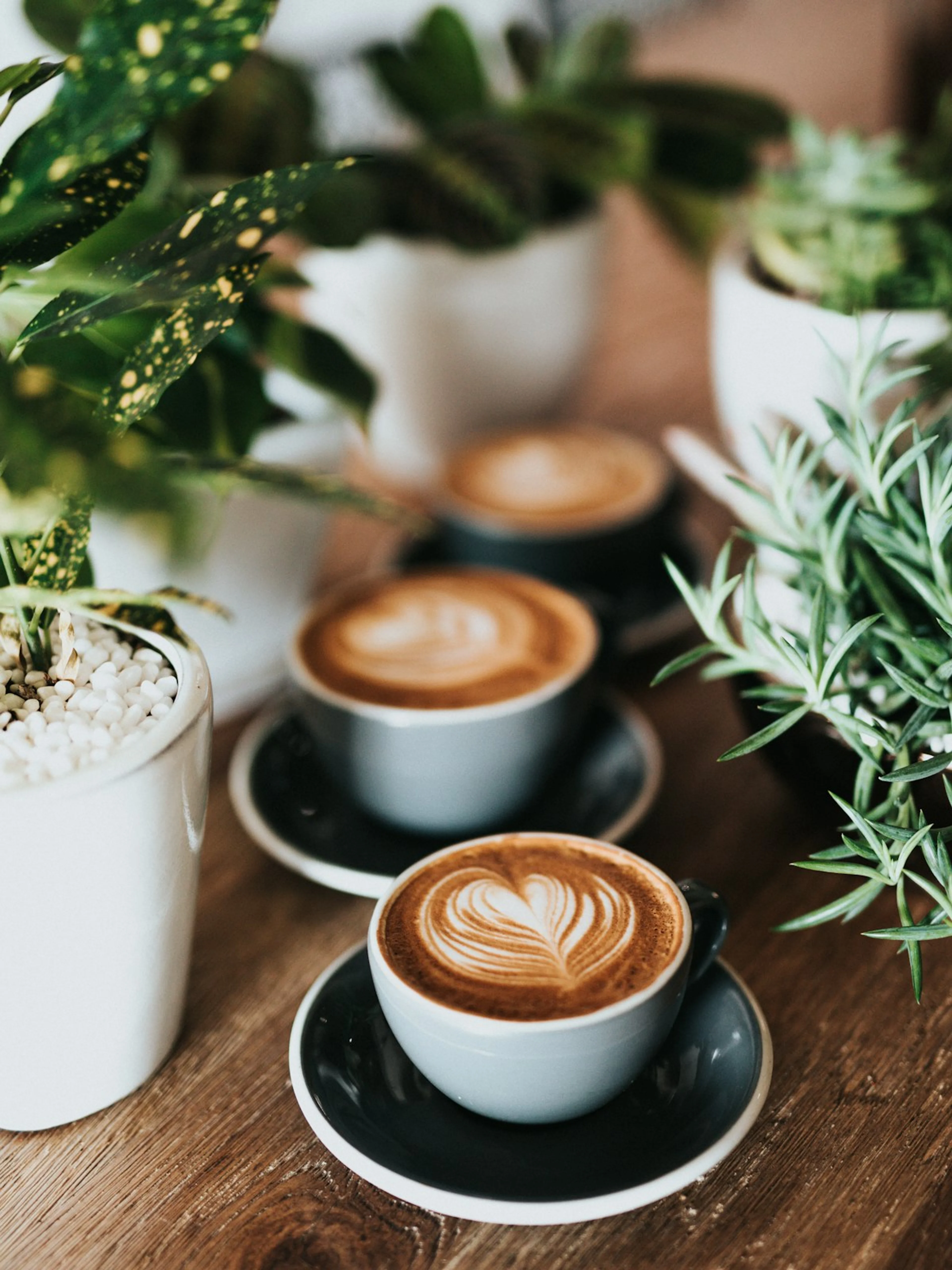Coffee cup