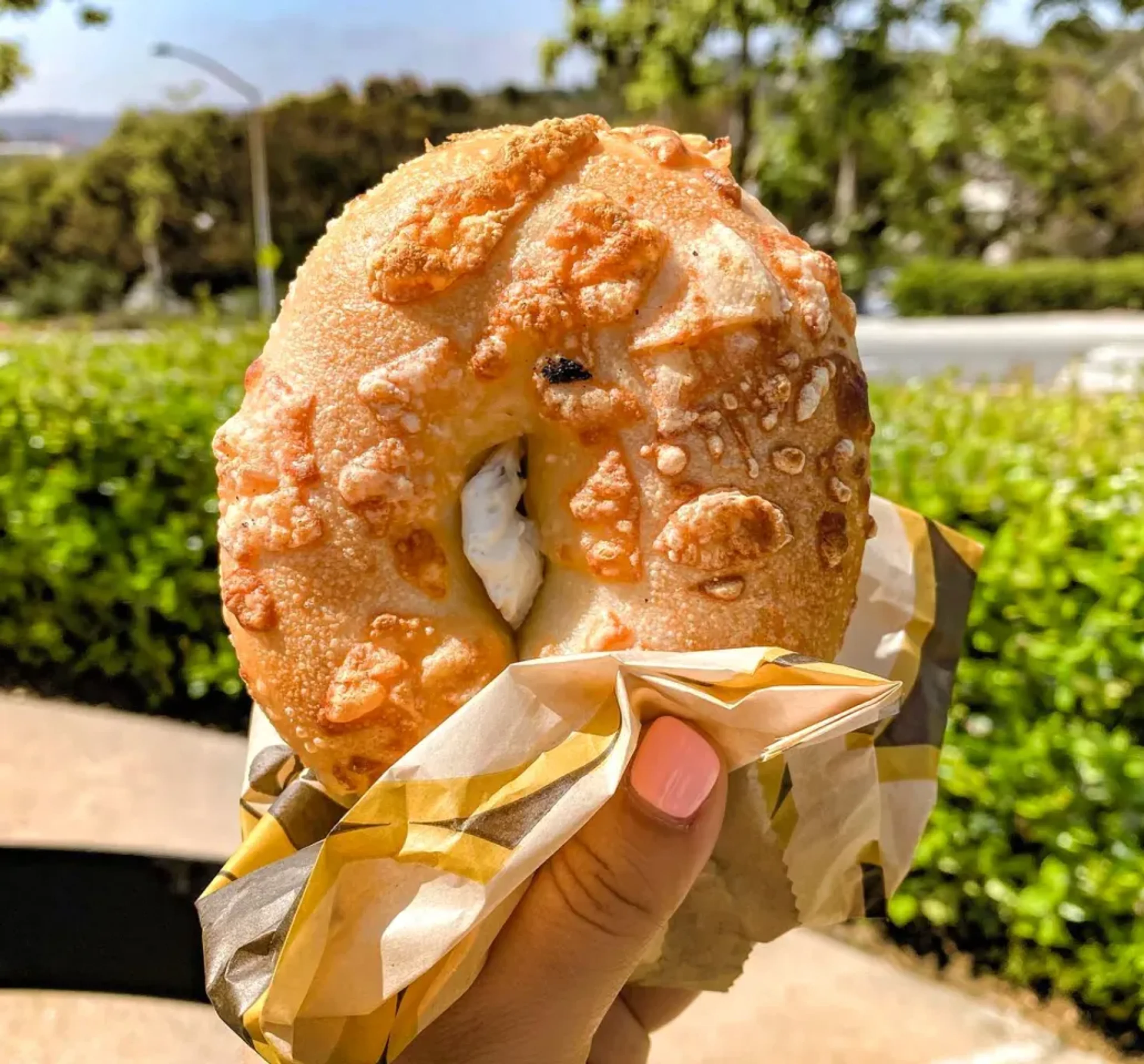 Brunch imagery featuring Asiago Cheese Bagel