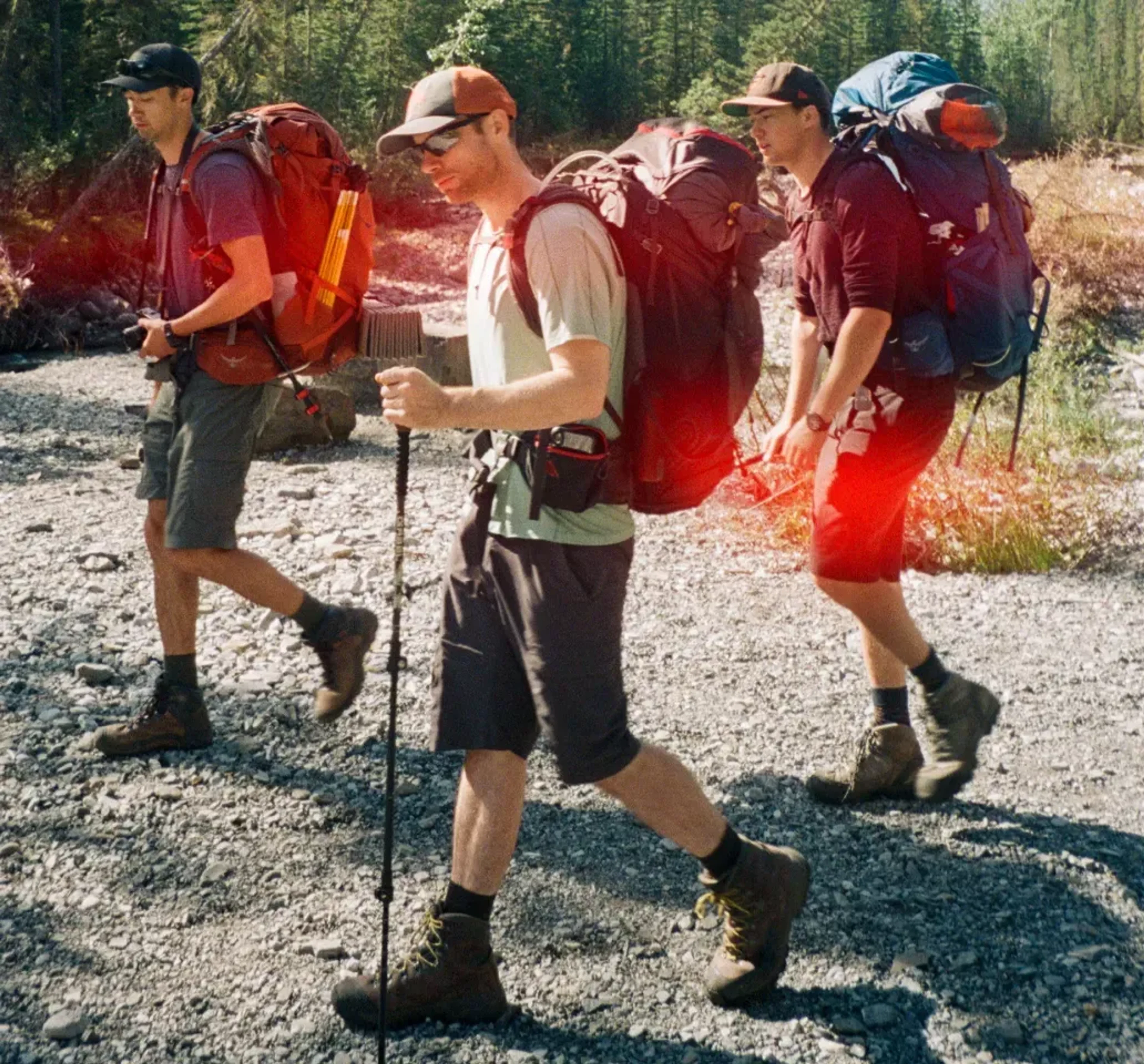Hiking imagery featuring Trail Trekking Poles
