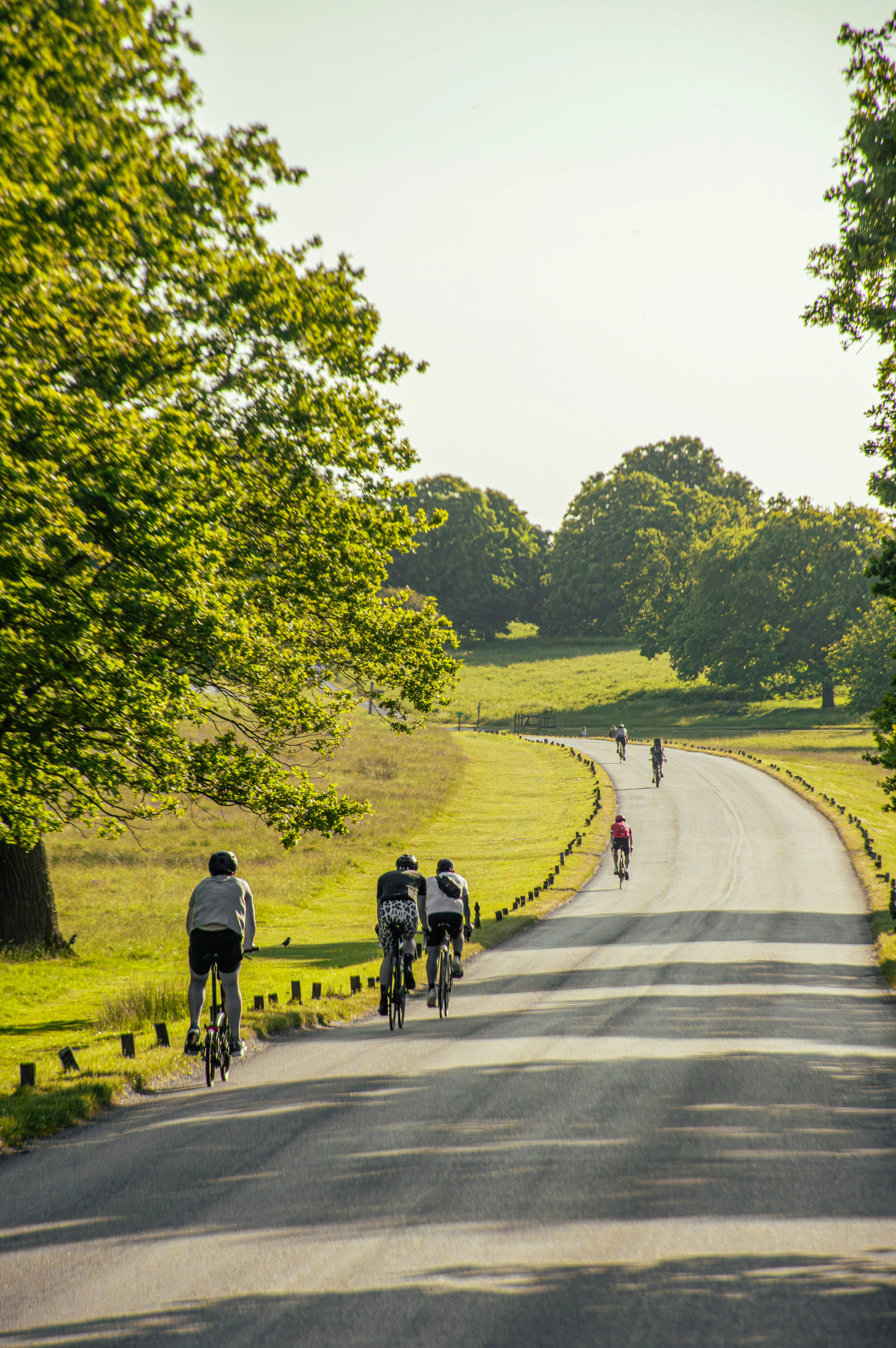 Cyclist climbing hill