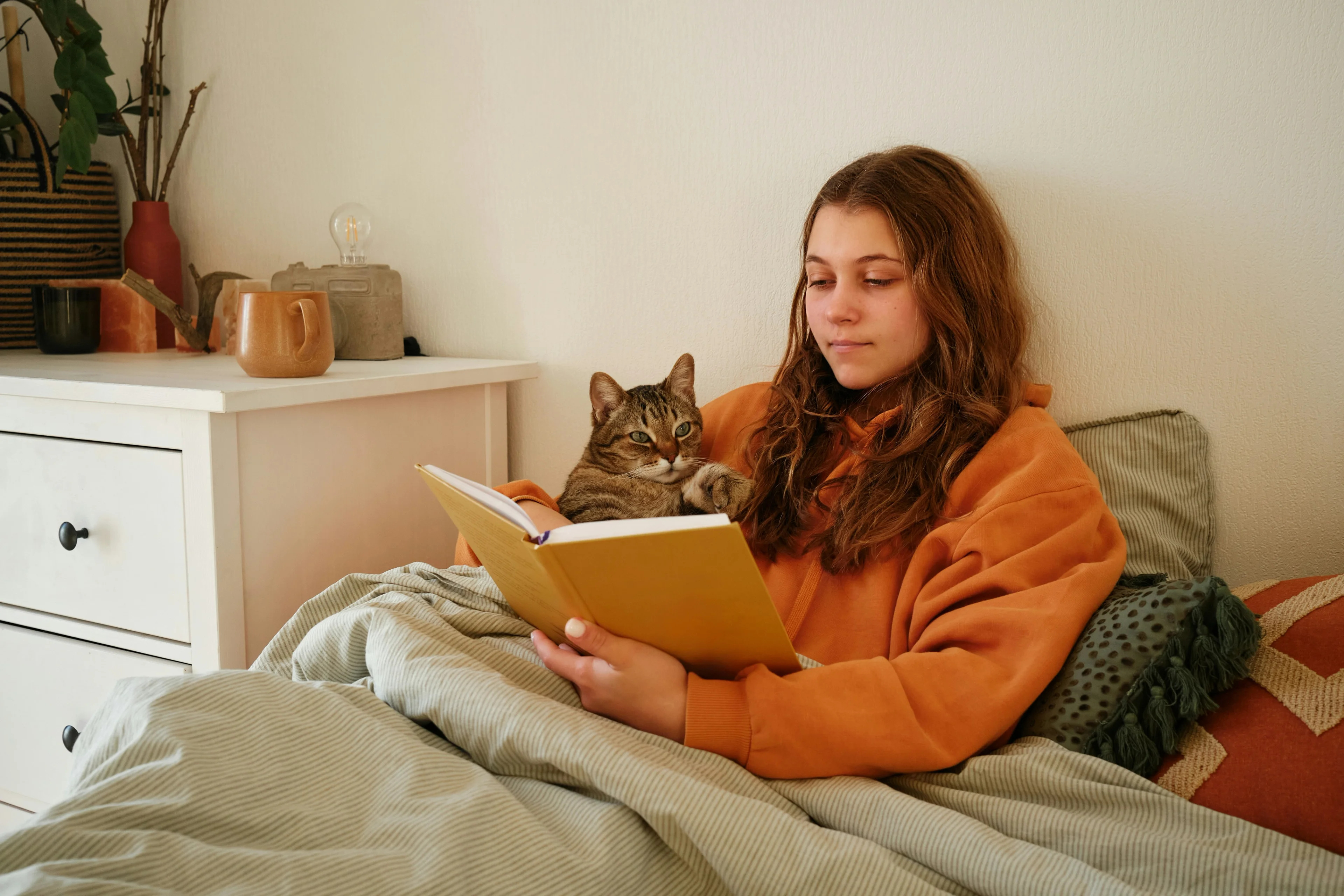 Cat and dog food