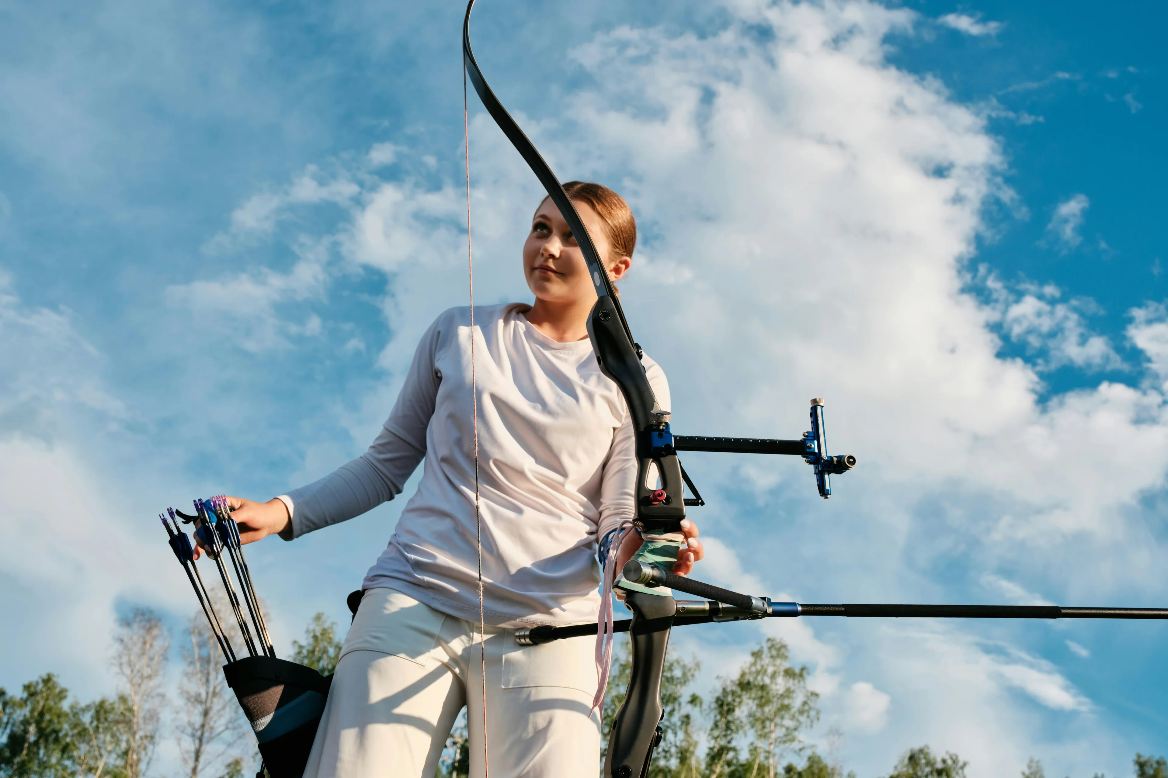 Bow and arrows